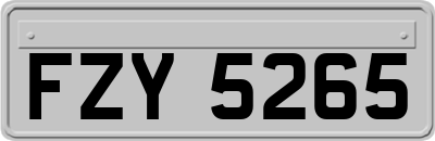 FZY5265