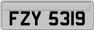 FZY5319