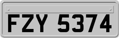 FZY5374