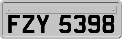 FZY5398