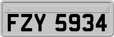 FZY5934