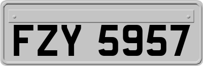 FZY5957