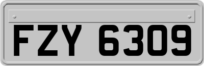FZY6309