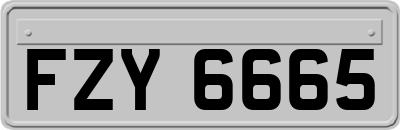 FZY6665