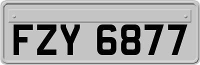 FZY6877