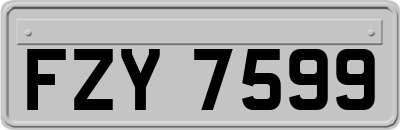 FZY7599