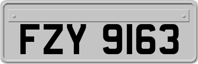 FZY9163