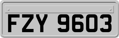 FZY9603