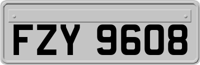 FZY9608