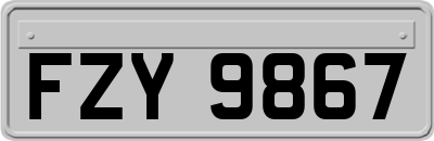 FZY9867