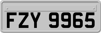 FZY9965