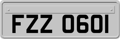 FZZ0601