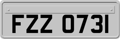 FZZ0731