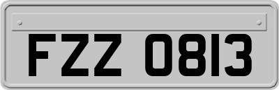 FZZ0813