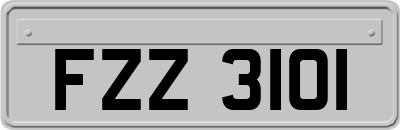 FZZ3101