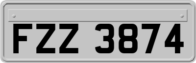 FZZ3874