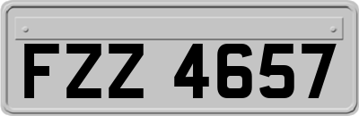 FZZ4657