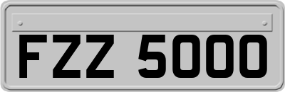 FZZ5000