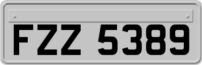 FZZ5389