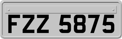 FZZ5875