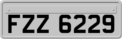 FZZ6229