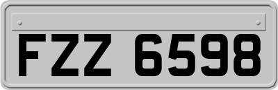FZZ6598