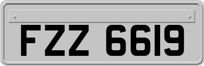 FZZ6619