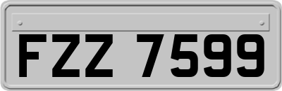 FZZ7599