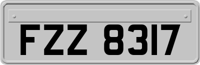 FZZ8317