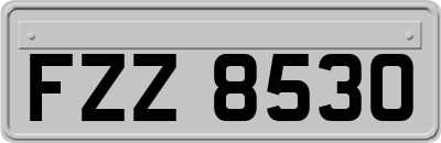 FZZ8530