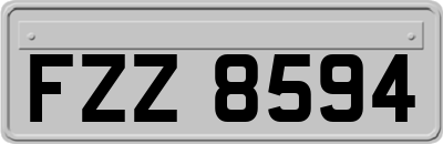 FZZ8594