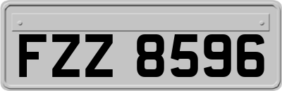 FZZ8596