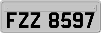 FZZ8597