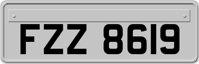 FZZ8619