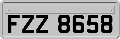 FZZ8658