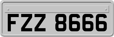 FZZ8666
