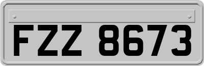 FZZ8673