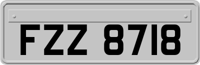 FZZ8718
