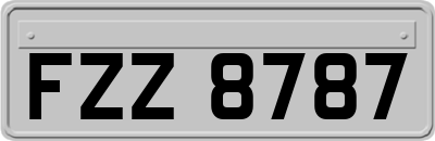FZZ8787