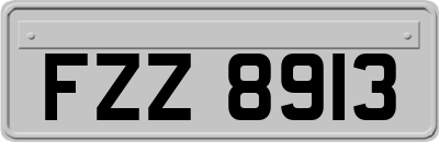 FZZ8913