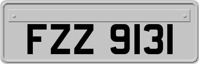 FZZ9131