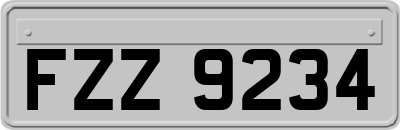 FZZ9234