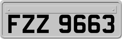 FZZ9663