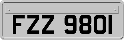 FZZ9801