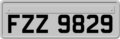 FZZ9829