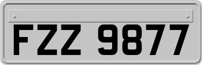 FZZ9877