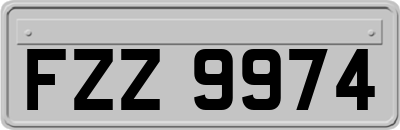 FZZ9974