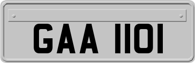 GAA1101