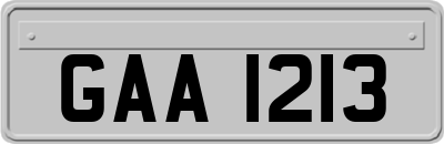 GAA1213