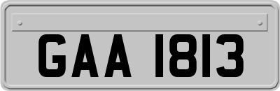 GAA1813